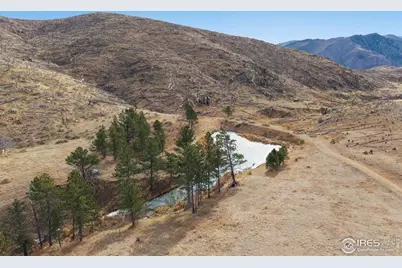 2441 Star View Dr, Livermore, CO 80536 - Photo 5