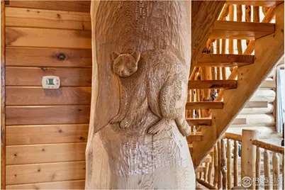 2441 Star View Dr, Livermore, CO 80536 - Photo 19