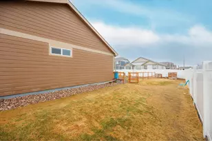 970 Greenbrook Dr, Windsor, CO 80550 - Photo 29
