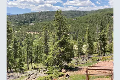 717 Micmac Dr, Red Feather Lakes, CO 80545 - Photo 5