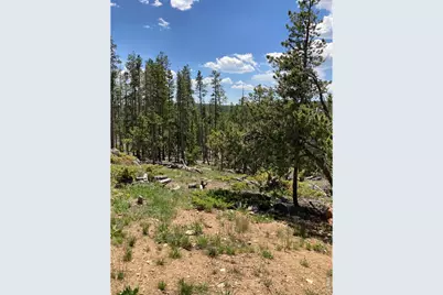 717 Micmac Dr, Red Feather Lakes, CO 80545 - Photo 9