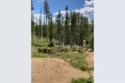 717 Micmac Dr, Red Feather Lakes, CO 80545 - Photo 7