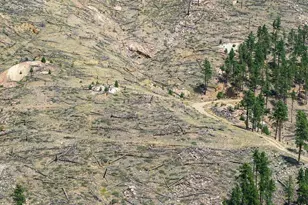 6319 Sunshine Canyon Dr, Boulder, CO 80302 - Photo 15