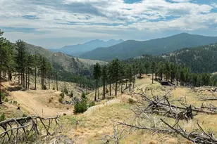 6319 Sunshine Canyon Dr, Boulder, CO 80302 - Photo 13