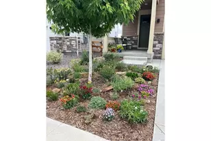 1938 Knobby Pne Dr, Fort Collins, CO 80528 - Photo 31