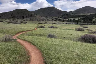 1920 Spruce Ave, Longmont, CO 80501 - Photo 49