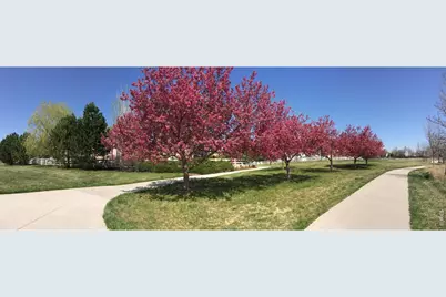 1920 Spruce Ave, Longmont, CO 80501 - Photo 47