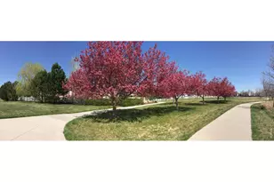 1920 Spruce Ave, Longmont, CO 80501 - Photo 47