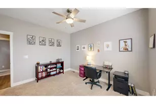 903 Rollins Den Dr, Fort Collins, CO 80524 - Photo 19