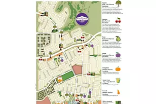 2110 Setting Sun Dr, Windsor, CO 80550 - Photo 9