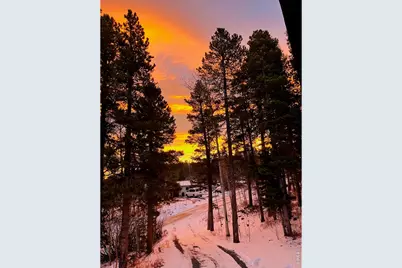 7 Ronnie Rd, Golden, CO 80403 - Photo 35