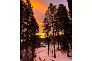 7 Ronnie Rd, Golden, CO 80403 - Photo 35