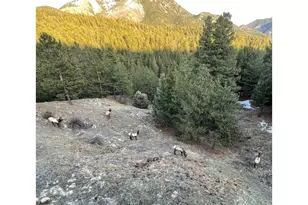 750 Cougar Dr, Boulder, CO 80302 - Photo 27