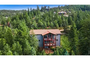 1005 Estes Park Estates Dr, Lyons, CO 80540 - Photo 3