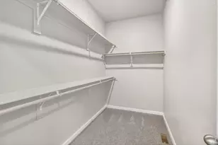 16933 Ballinger Cir, Mead, CO 80542 - Photo 15