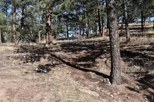 1477 Kiowa Rd, Lyons, CO 80540 - Photo 31