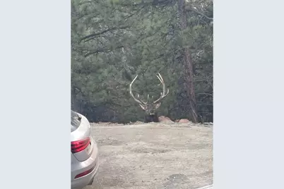 1406 Pika Rd, Boulder, CO 80302 - Photo 49