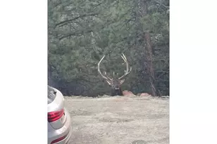 1406 Pika Rd, Boulder, CO 80302 - Photo 49