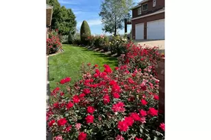 2238 Breckenridge Dr, Berthoud, CO 80513 - Photo 21