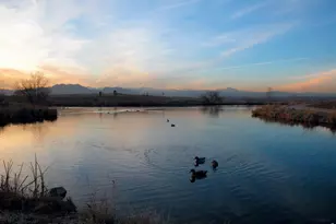 2708 W 126th Ave, Broomfield, CO 80020 - Photo 45