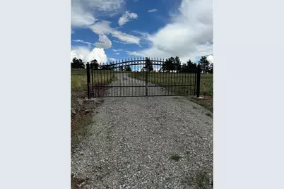 2841 Singletree Rd, Hartsel, CO 80449 - Photo 3