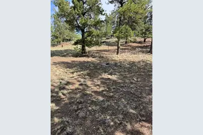 2841 Singletree Rd, Hartsel, CO 80449 - Photo 27