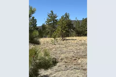 2841 Singletree Rd, Hartsel, CO 80449 - Photo 17