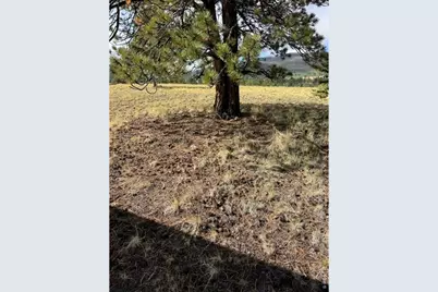 2841 Singletree Rd, Hartsel, CO 80449 - Photo 31