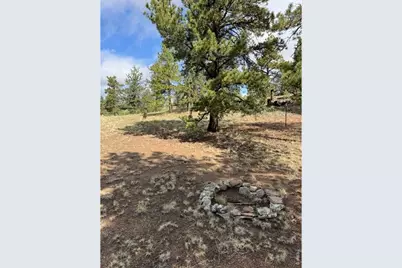 2841 Singletree Rd, Hartsel, CO 80449 - Photo 21