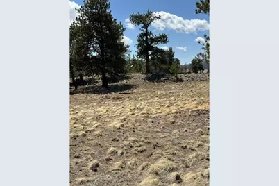 2841 Singletree Rd, Hartsel, CO 80449 - Photo 5