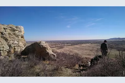 4318 Green Mile Dr, Laporte, CO 80535 - Photo 41