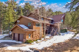 3202 Thunder Mountain Ln, Estes Park, CO 80517 - Photo 29