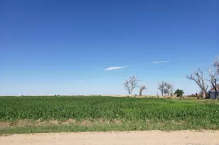 0 County Road 6, Wiggins, CO 80654 - Photo 1