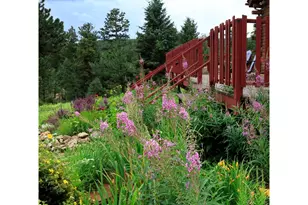 95 Meadowland Ct, Nederland, CO 80466 - Photo 33