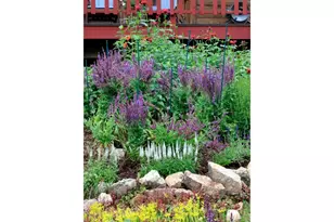 95 Meadowland Ct, Nederland, CO 80466 - Photo 31