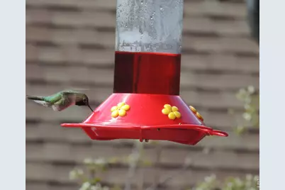 1565 Highway 66 ##30, Estes Park, CO 80517 - Photo 7