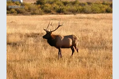 1565 Highway 66 ##30, Estes Park, CO 80517 - Photo 11