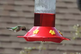 1565 Hwy 66 #, Estes Park, CO 80517 - Photo 17