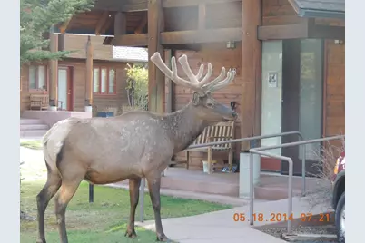 1565 Highway 66 ##31, Estes Park, CO 80517 - Photo 19