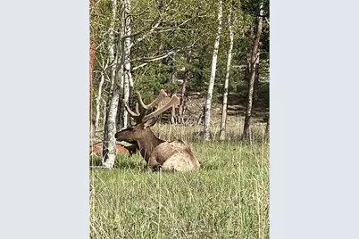 1565 Highway 66 ##31, Estes Park, CO 80517 - Photo 1