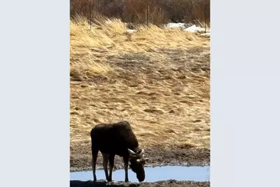 1565 Highway 66 ##31, Estes Park, CO 80517 - Photo 15
