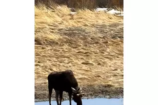 1565 Hwy 66 #, Estes Park, CO 80517 - Photo 15