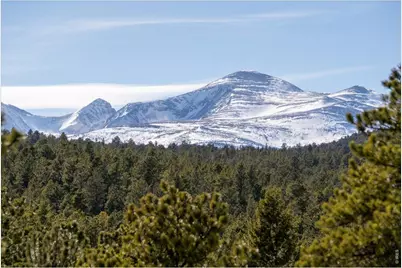 143 Crockett Trl, Ward, CO 80481 - Photo 23
