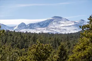 143 Crockett Trl, Ward, CO 80481 - Photo 23