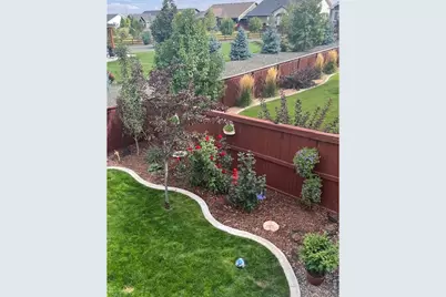2009 Orchard Bloom Dr, Windsor, CO 80550 - Photo 33