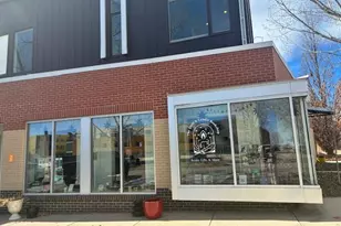 722 Tenacity Dr, Longmont, CO 80504 - Photo 33