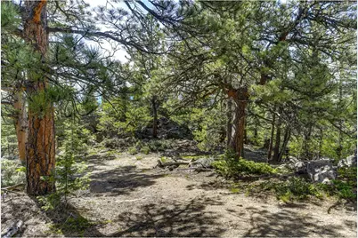 3153 Ridge Rd, Nederland, CO 80466 - Photo 7