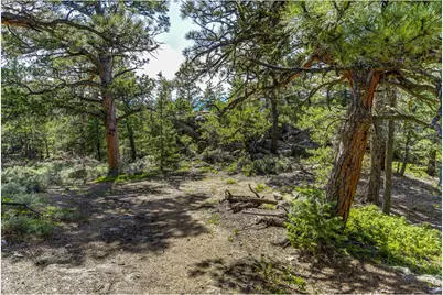 3153 Ridge Rd, Nederland, CO 80466 - Photo 9