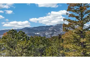 11981 Spruce Canyon Cir, Golden, CO 80403 - Photo 23