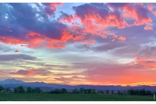 14798 N 115th St, Longmont, CO 80504 - Photo 11